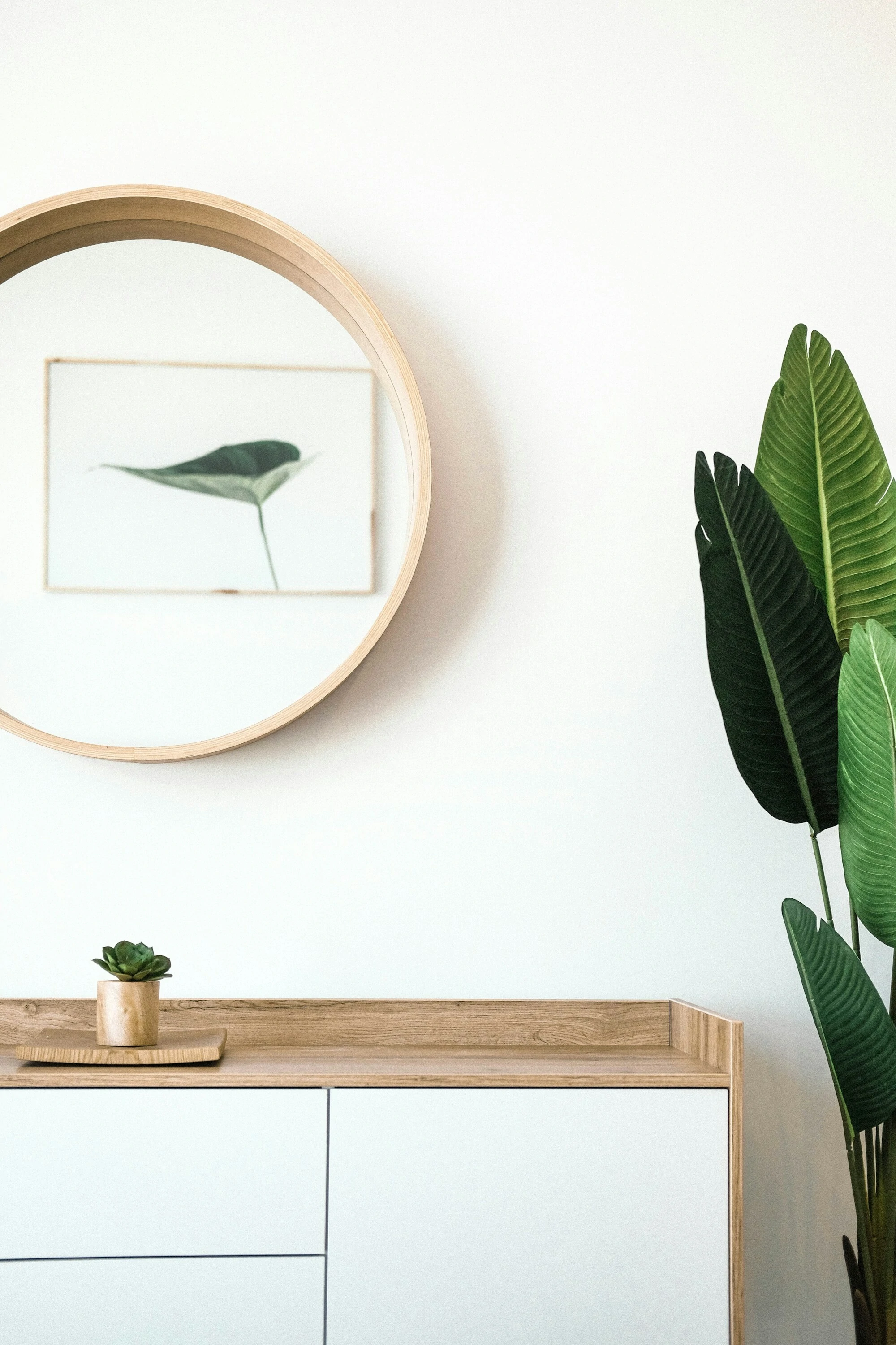 Nice round mirror with wood accent above similar wooden bench top, green plant on right,