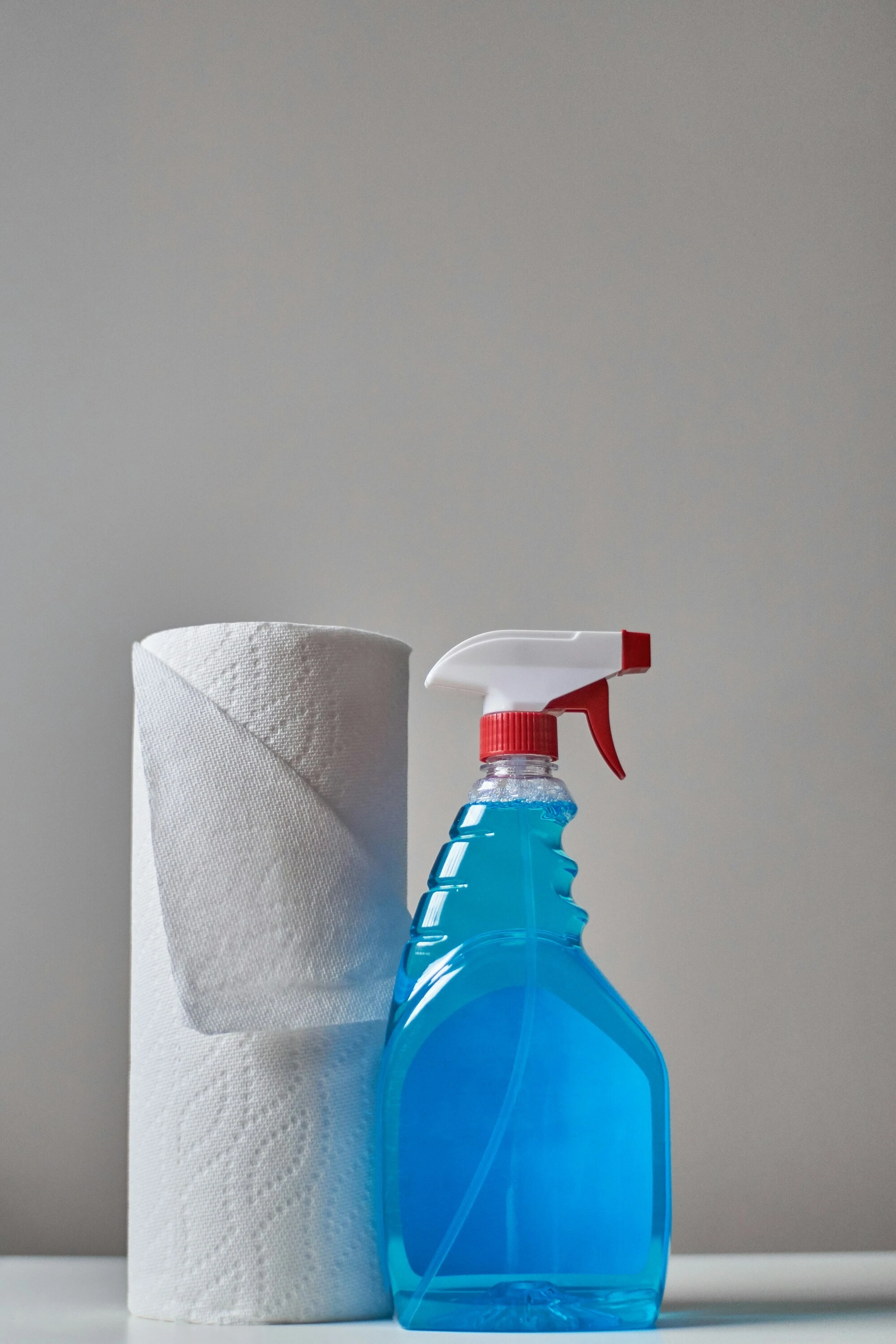 Cleaning products - Paper towel and Spray bottle
